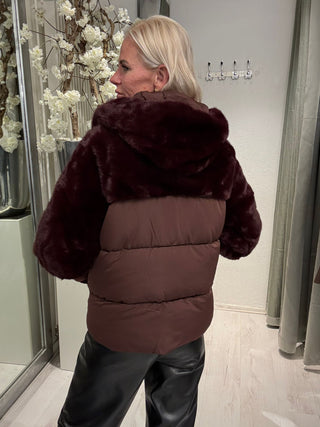Winter Jas All Time Favorite Burgundy