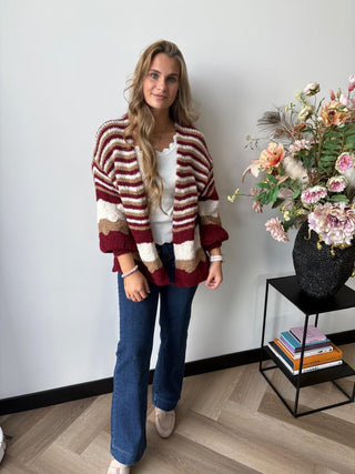 Vest Knitted Autumn